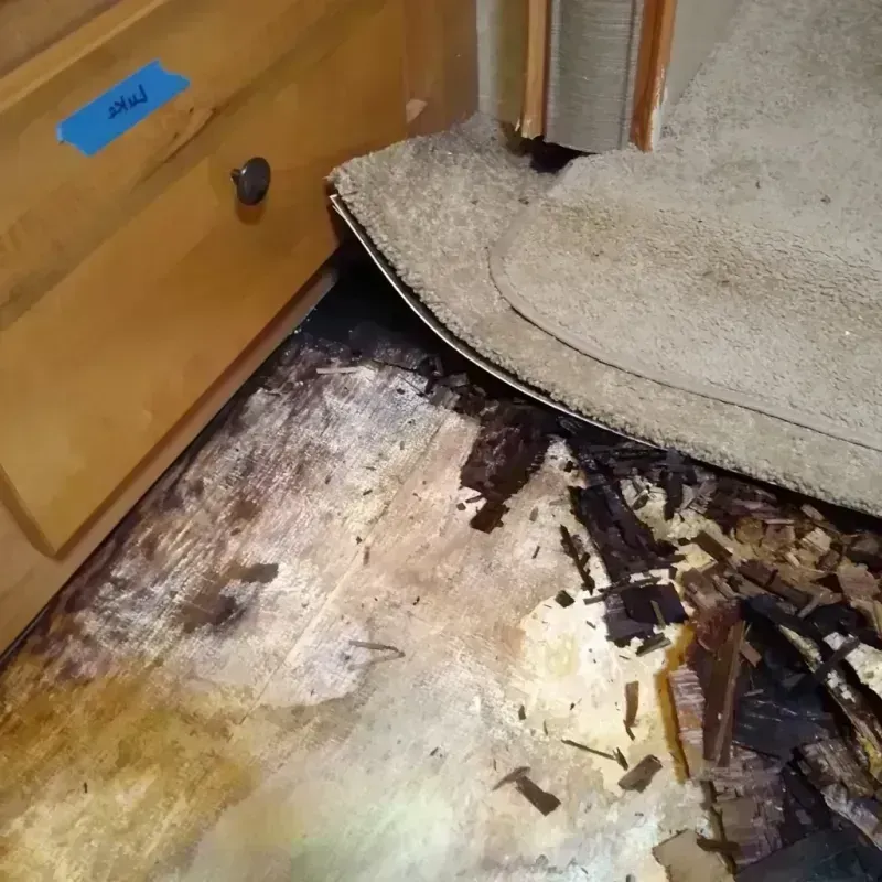 Wood Floor Water Damage in Fruitville, FL